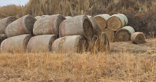 Hay stolen near Loup City