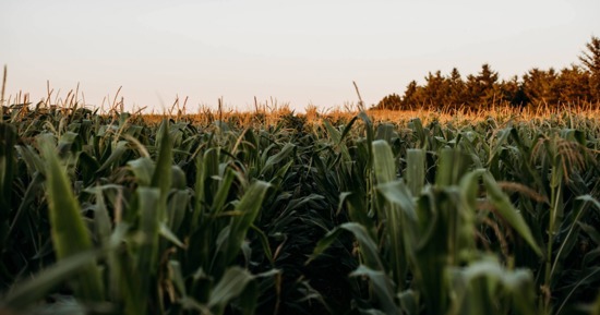 Nebraska Extension Presents Landlord-Tentant Workshop