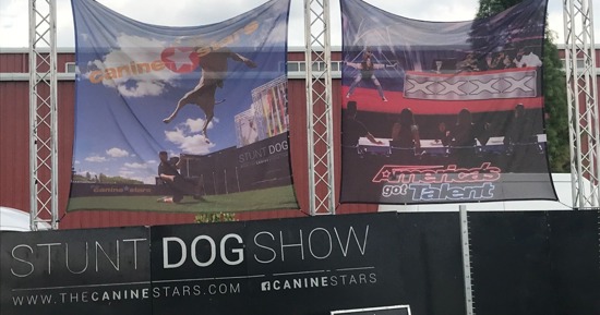 Canine Stars Fly High at NSF