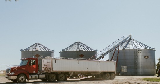 Nebraska Corn: Safety First, Avoid the Worst