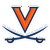 Virginia,Cavaliers Mascot